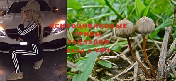 марки nbome Аркадак