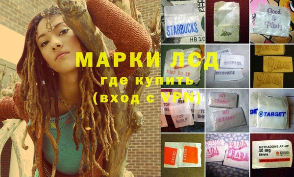 прущая мука Арсеньев