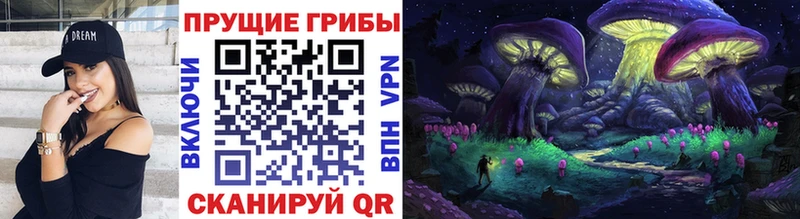 darknet состав  где купить   Судак  Псилоцибиновые грибы Magic Shrooms 